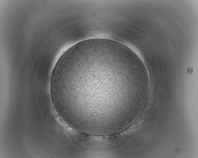 X0000092081104200709191219