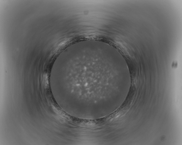 X0000092081106200709191219