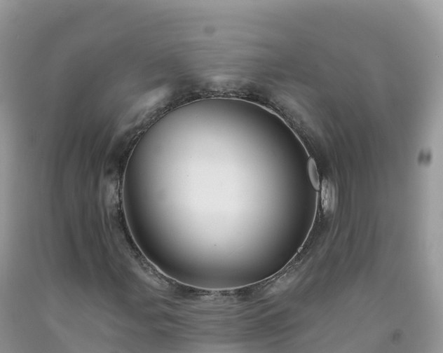 X0000092081107200709191219