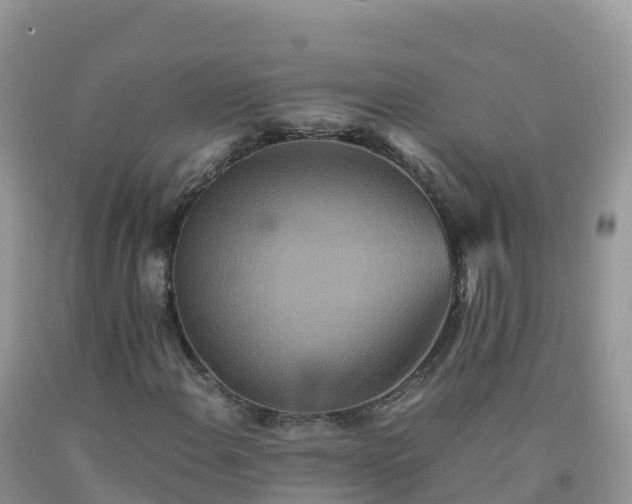 X0000092081108200709191219