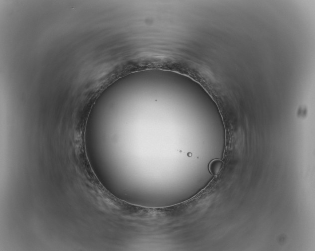X0000092081109200709191219
