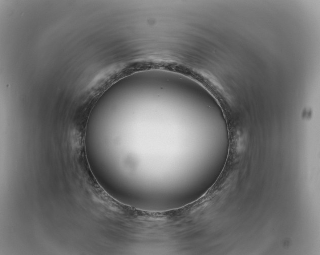 X0000092081110200709191219