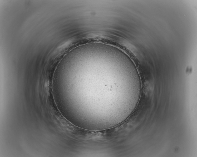 X0000092081111200709191219