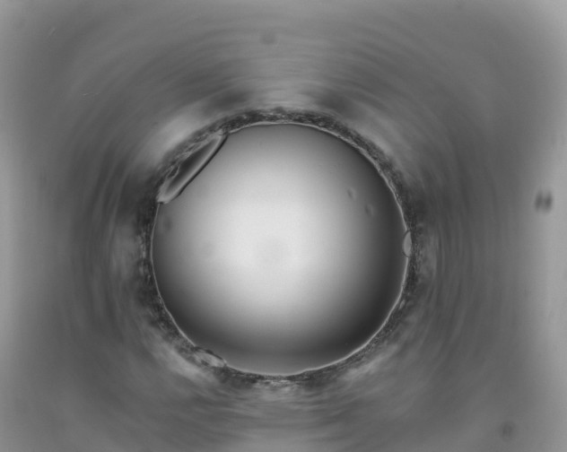 X0000092081112200709191219