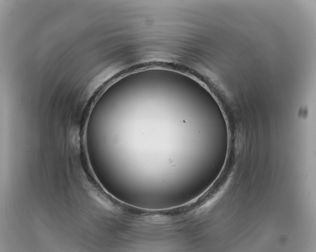 X0000092081113200709191219
