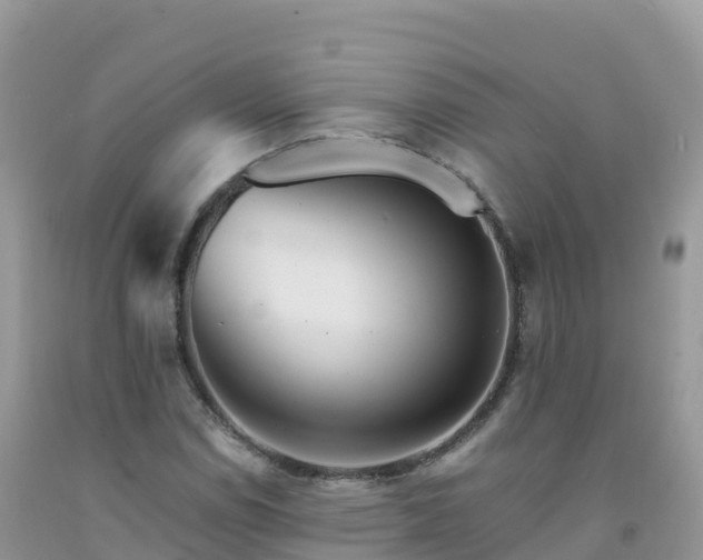 X0000092081114200709191219