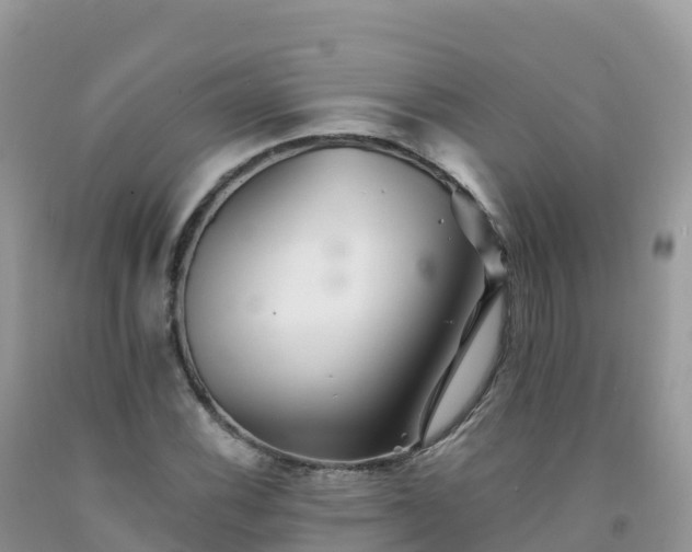 X0000092081116200709191219