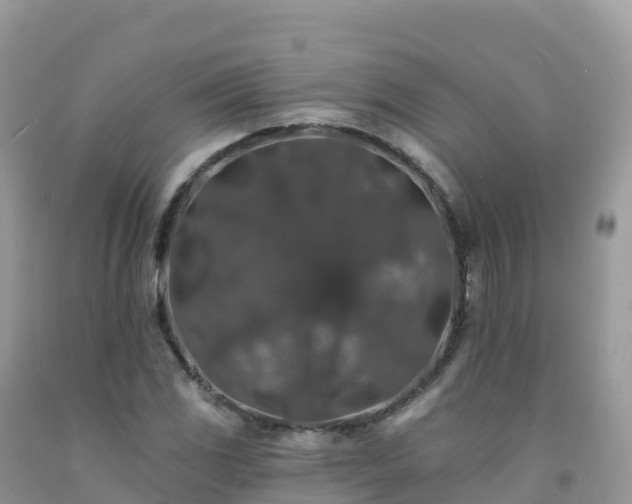X0000092081117200709191219