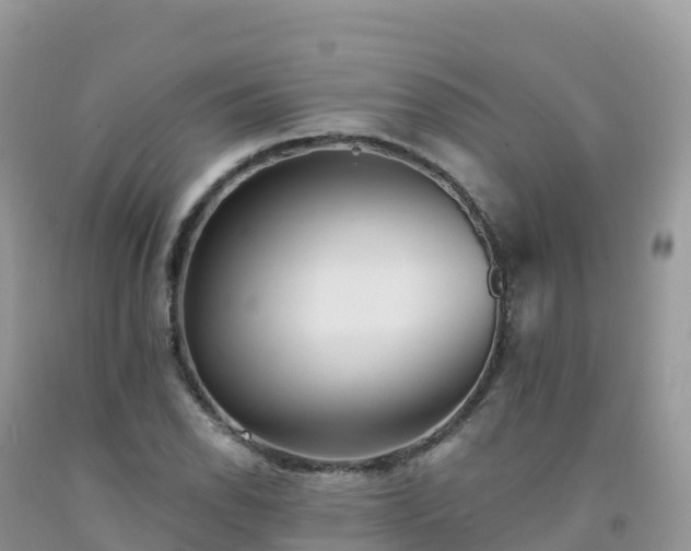 X0000092081118200709191219
