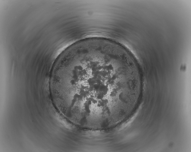 X0000092081121200709191219