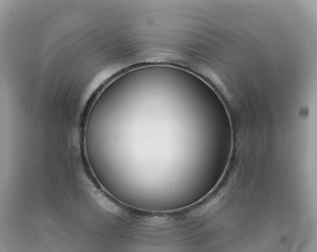 X0000092081122200709191219