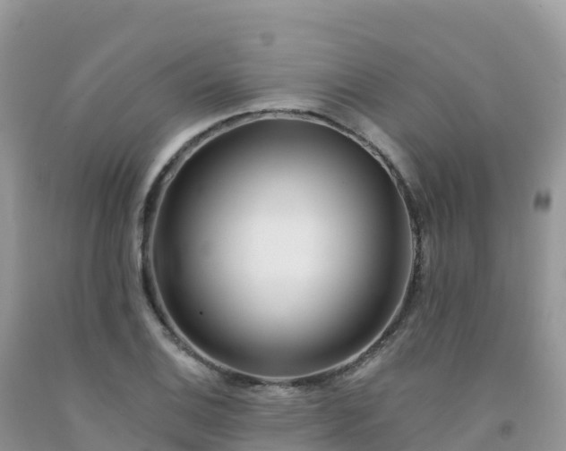 X0000092081124200709191219