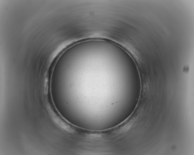 X0000092081126200709191219