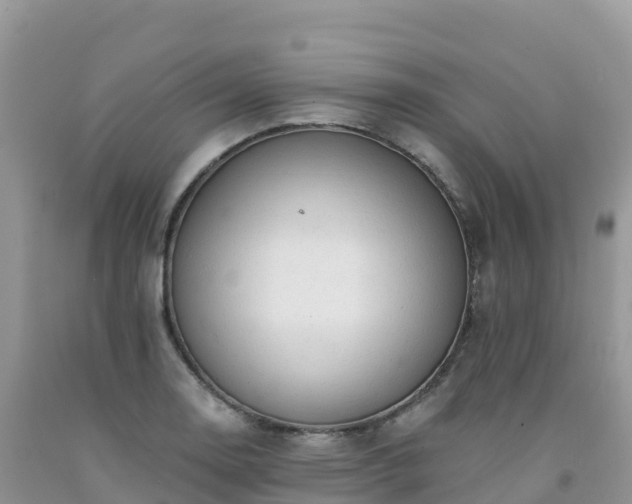 X0000092081130200709191219