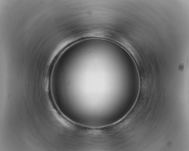 X0000092081131200709191219