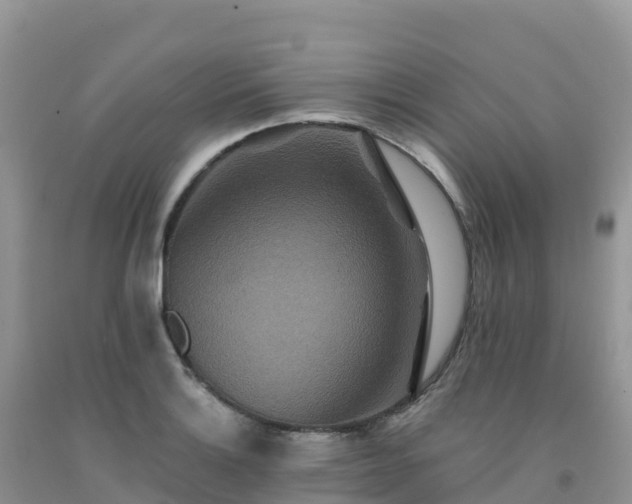 X0000092081132200709191219