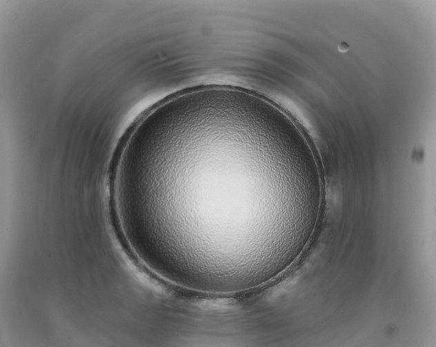 X0000092081133200709191219