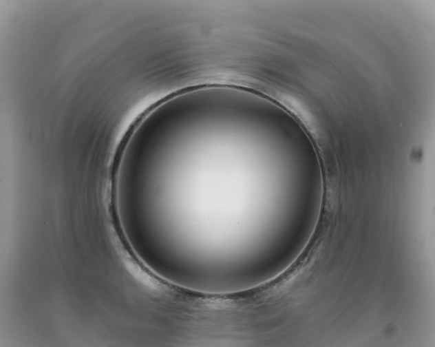 X0000092081136200709191219