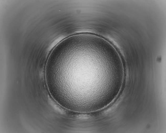 X0000092081137200709191219
