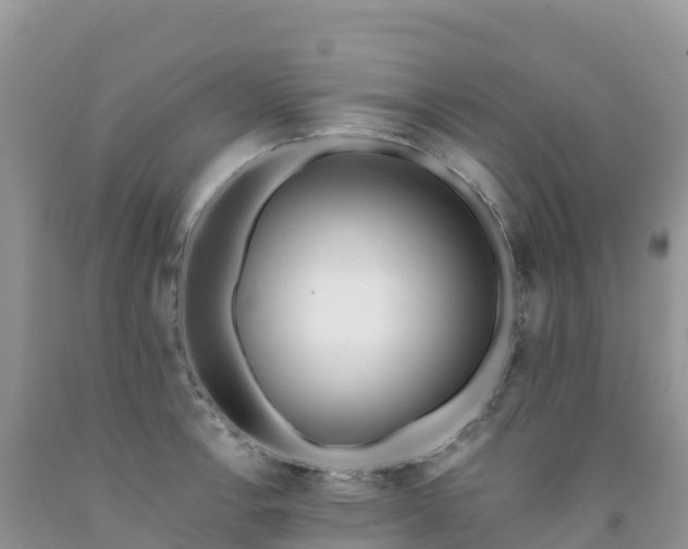 X0000092081138200709191219