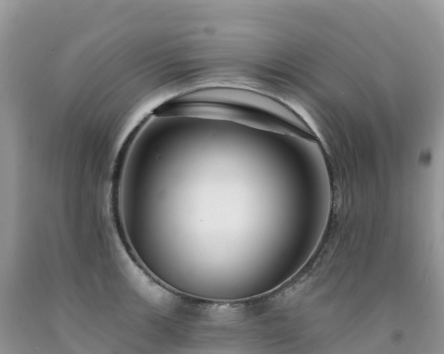 X0000092081139200709191219