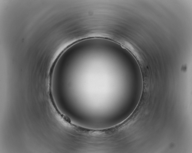 X0000092081140200709191219