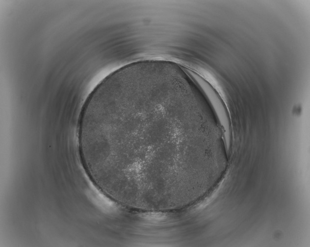 X0000092081141200709191219