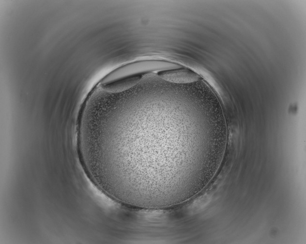 X0000092081143200709191219