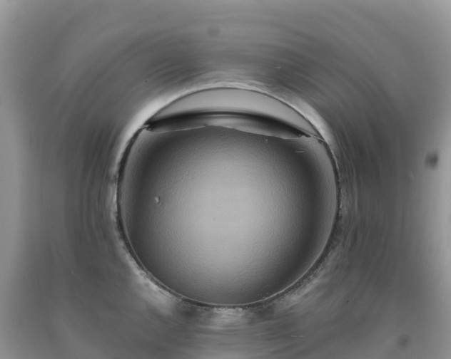 X0000092081144200709191219