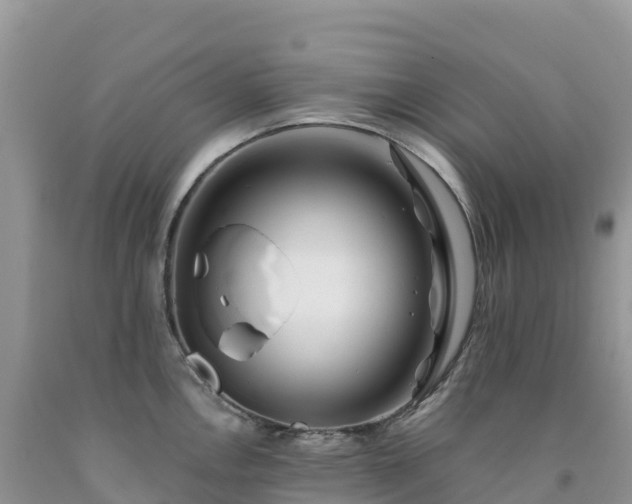 X0000092081146200709191219