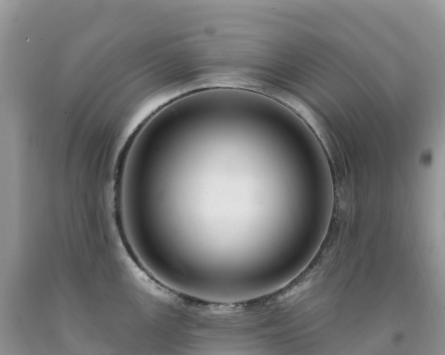 X0000092081147200709191219