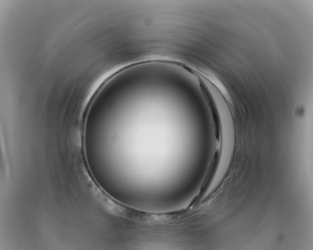 X0000092081148200709191219