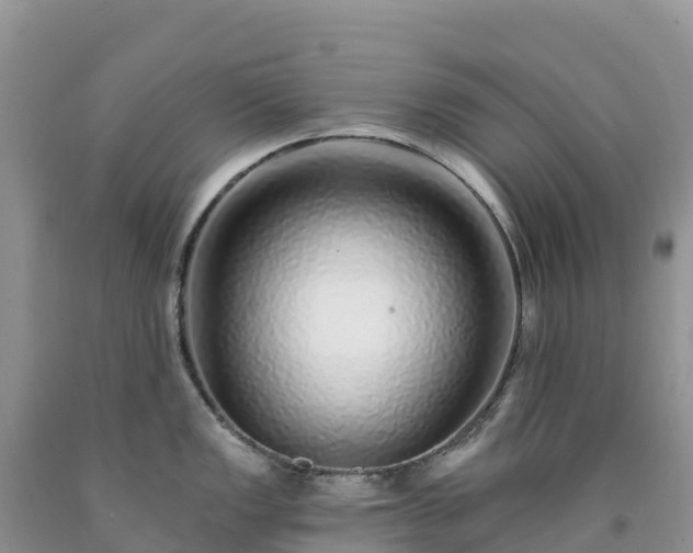 X0000092081149200709191219