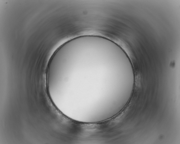 X0000092081150200709191219