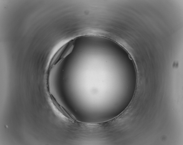 X0000092081152200709191219