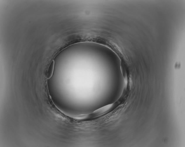 X0000092081153200709191219