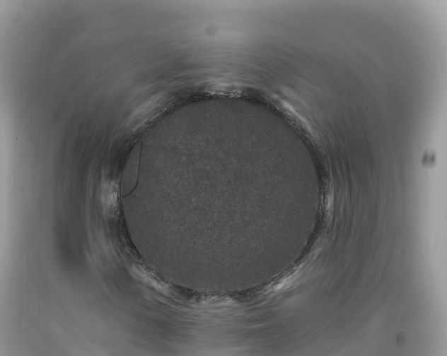 X0000092081154200709191219