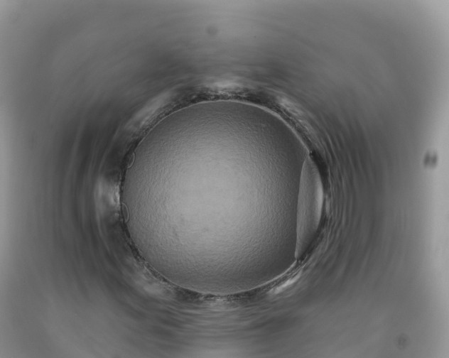 X0000092081155200709191219