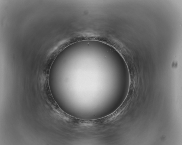 X0000092081157200709191219