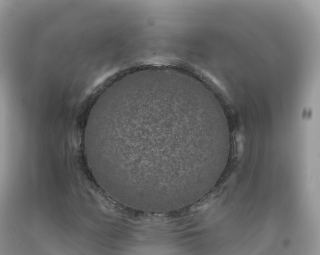 X0000092081158200709191219
