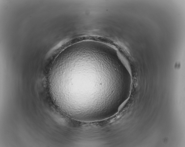 X0000092081159200709191219