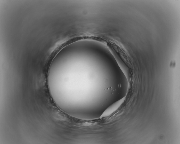 X0000092081160200709191219