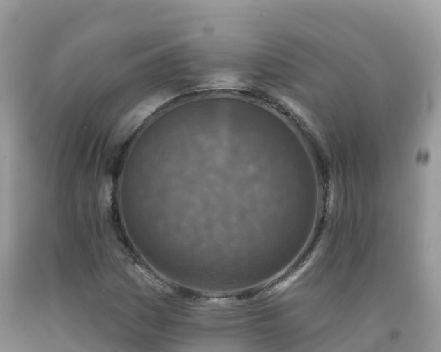 X0000092081161200709191219