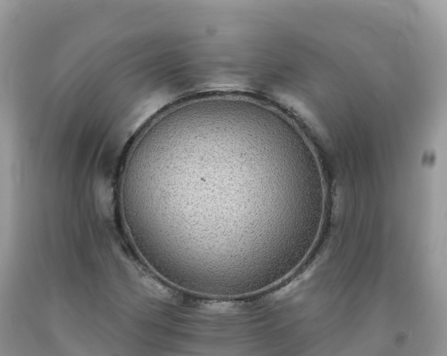 X0000092081162200709191219