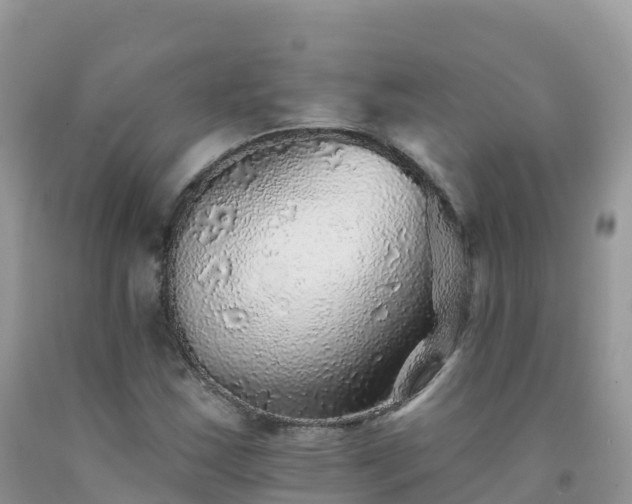 X0000092081163200709191219