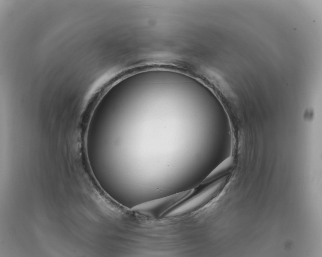 X0000092081164200709191219