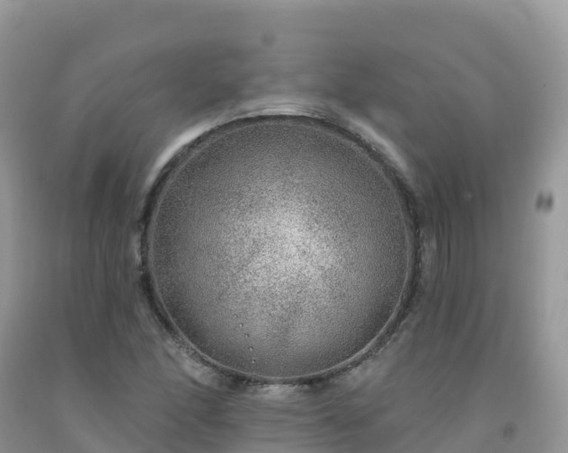 X0000092081166200709191219