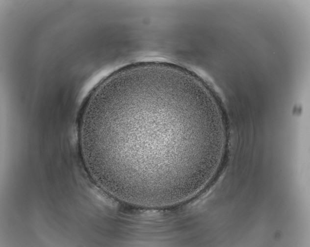 X0000092081167200709191219
