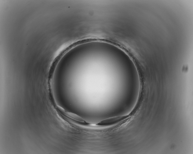 X0000092081168200709191219
