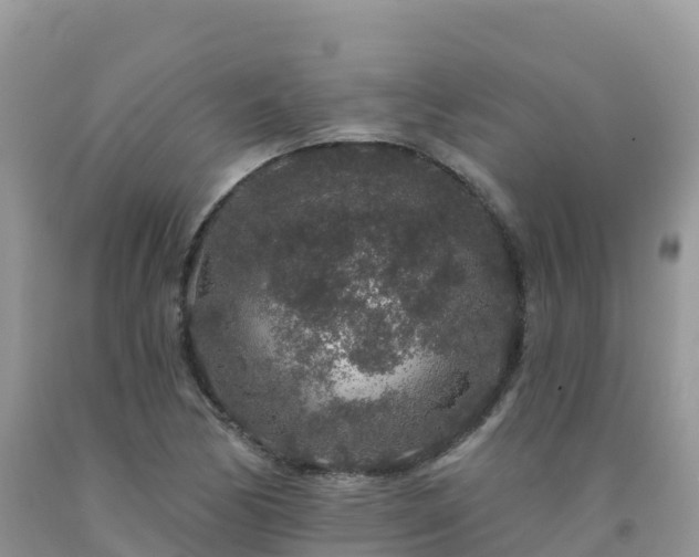 X0000092081170200709191219